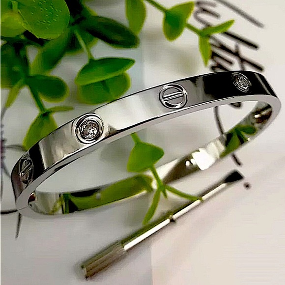 Love Luxury Platinum Bangle Bracelet Screw with Stones Silver Luxury - Picture 4 of 8